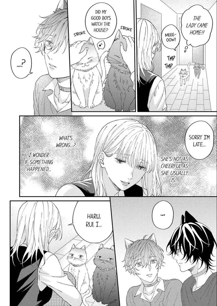 Haru To Rui No Nyanderful Love Life! Chapter 12 page 5 - MangaKakalot