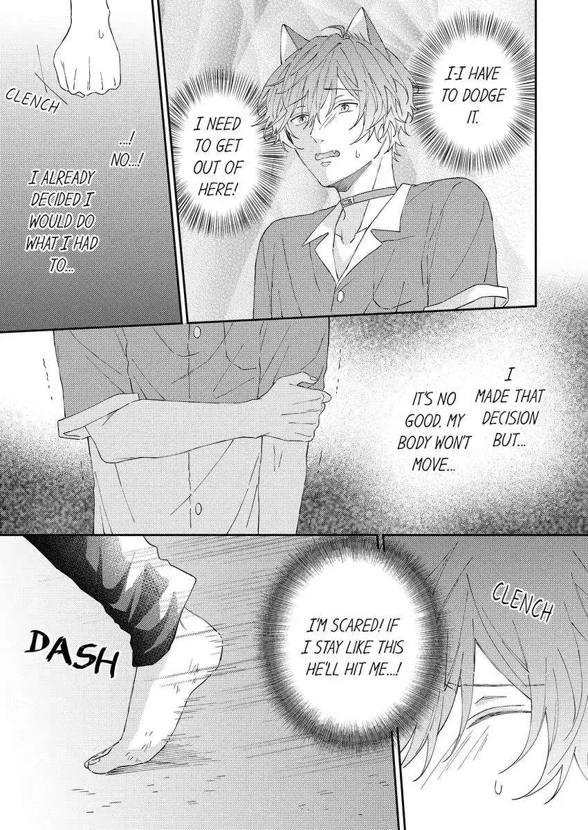 Haru To Rui No Nyanderful Love Life! Chapter 14 page 6 - MangaKakalot