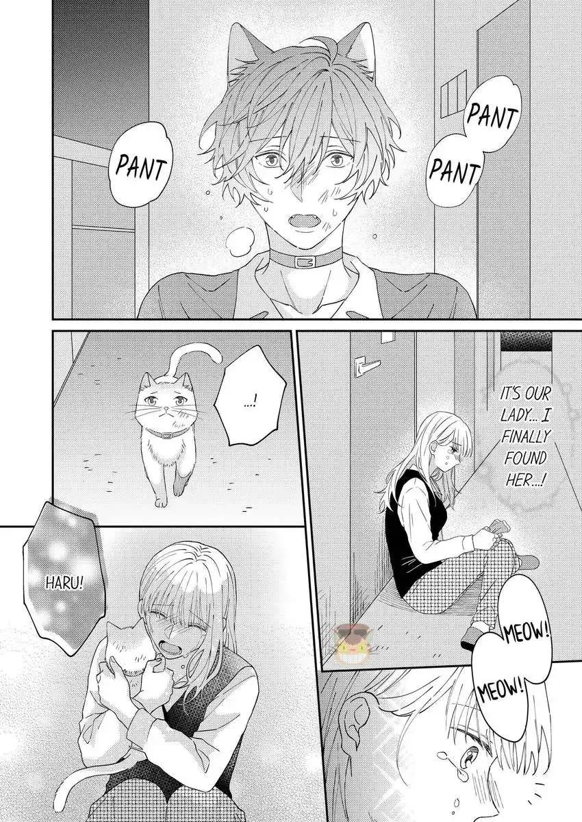 Haru To Rui No Nyanderful Love Life! Chapter 16 page 9 - MangaKakalot