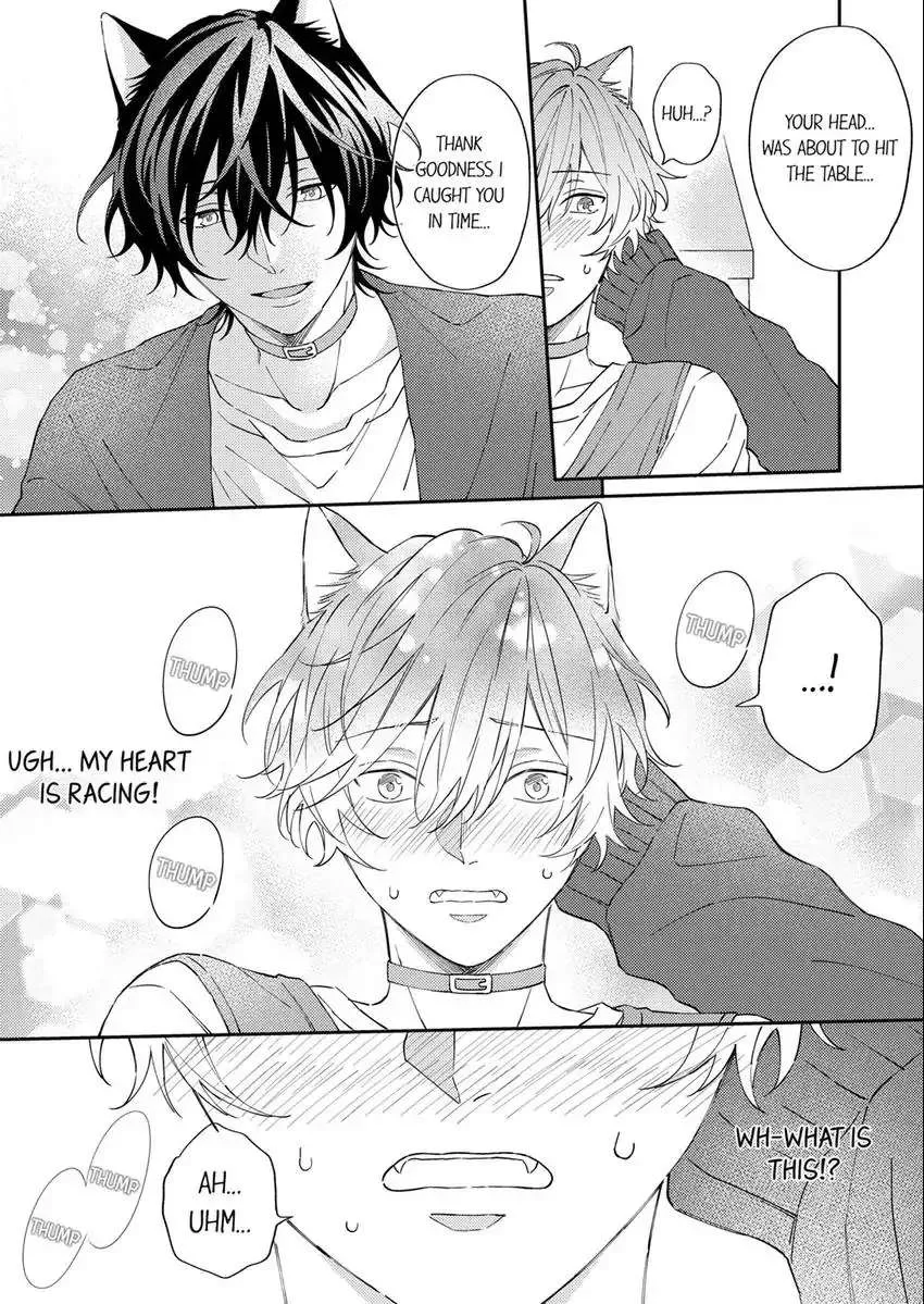 Haru To Rui No Nyanderful Love Life! Chapter 8 page 4 - MangaKakalot