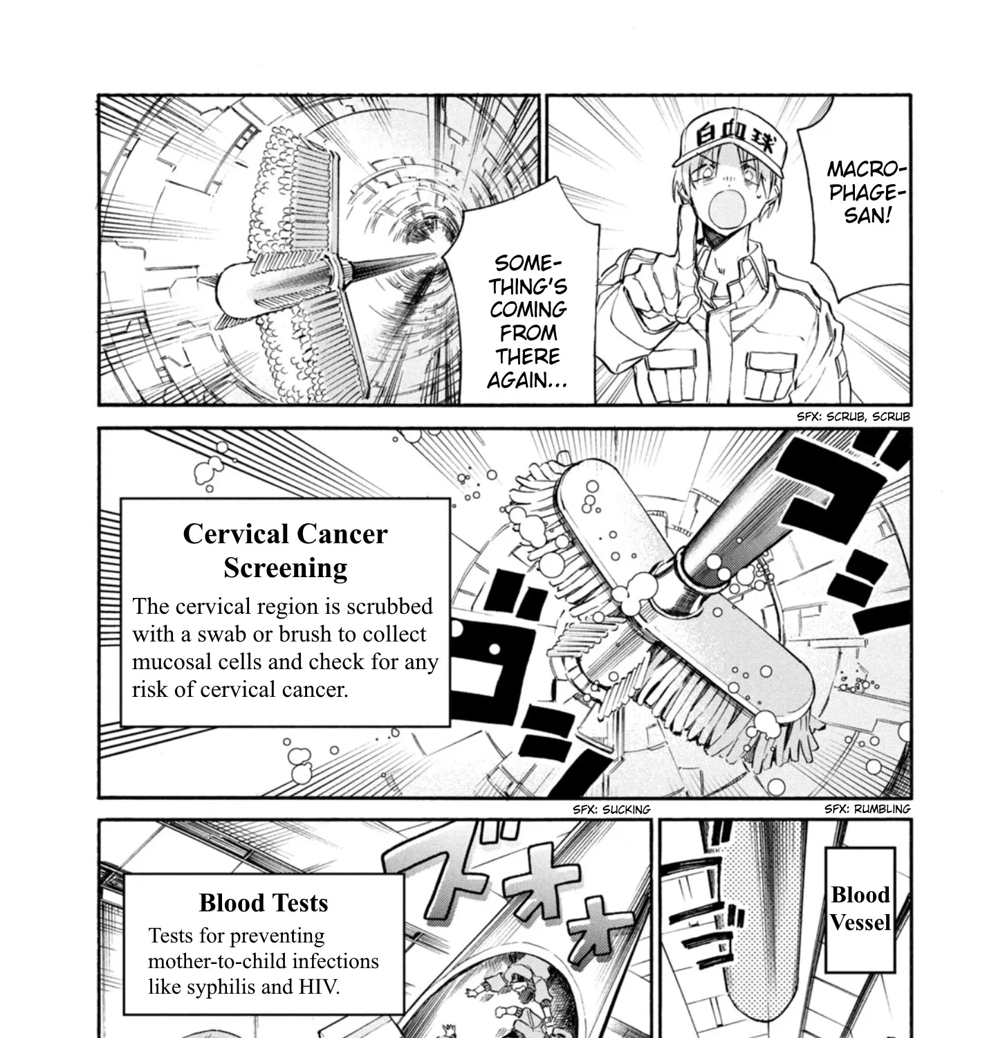 Hataraku Saibou Lady - Page 63