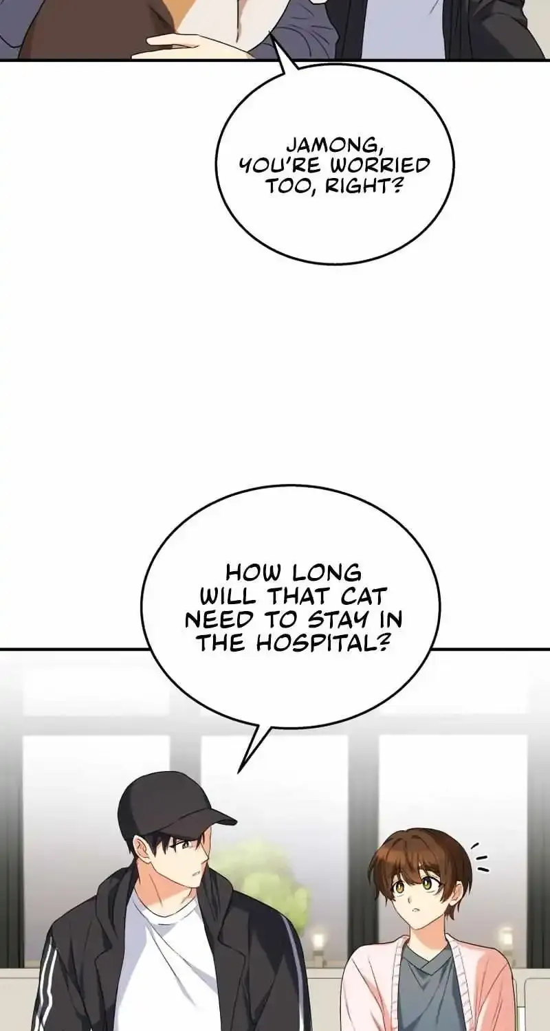 Hello! Veterinarian! Chapter 13 page 48 - MangaKakalot