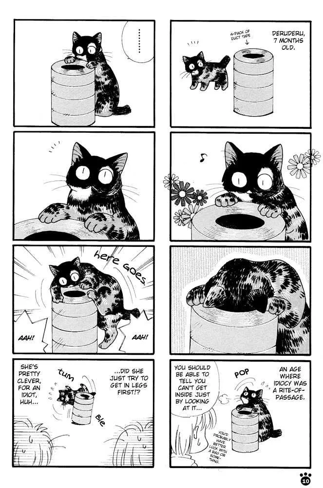 Honjitsu no Neko - Page 2