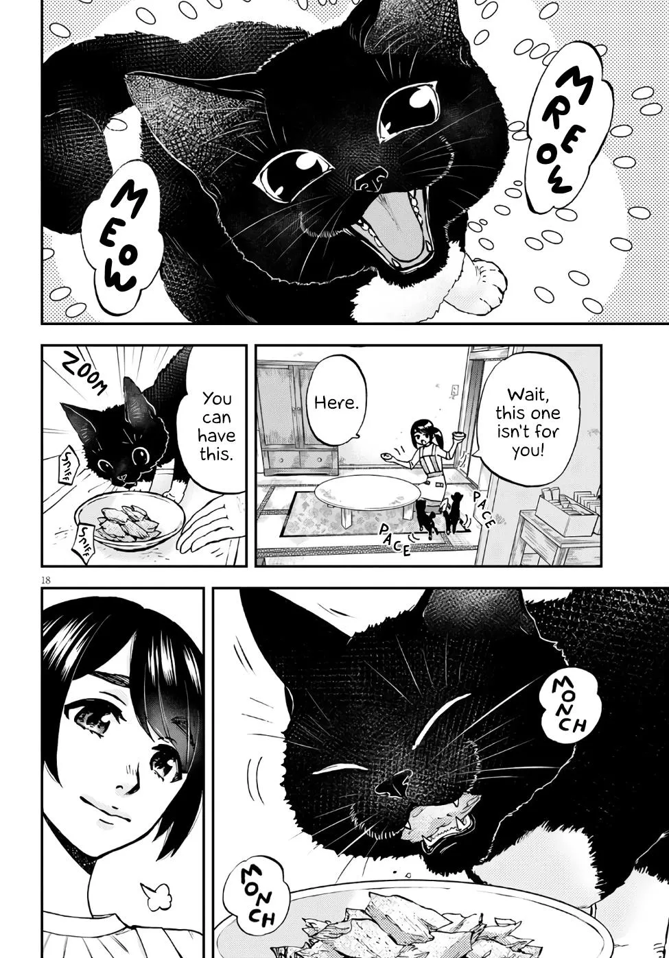 Hosomura-San With Cat