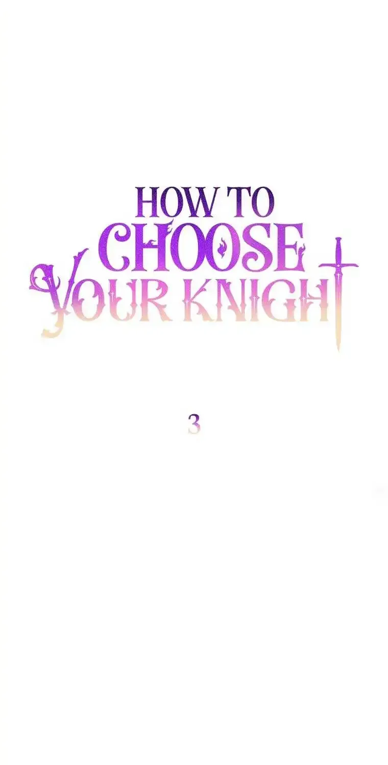 How To Choose Your Knight Chapter 3 page 33 - MangaKakalot