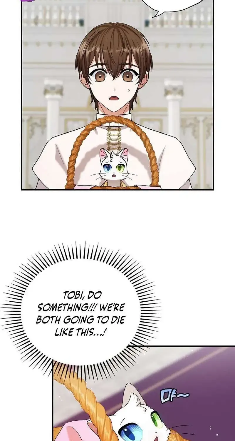 I Became The Emperor’S Cat Chapter 1 page 22 - MangaKakalot