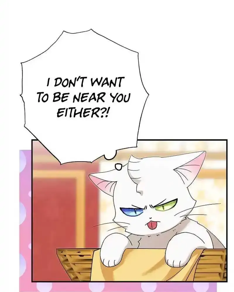 I Became The Emperor’S Cat Chapter 16 page 31 - MangaKakalot