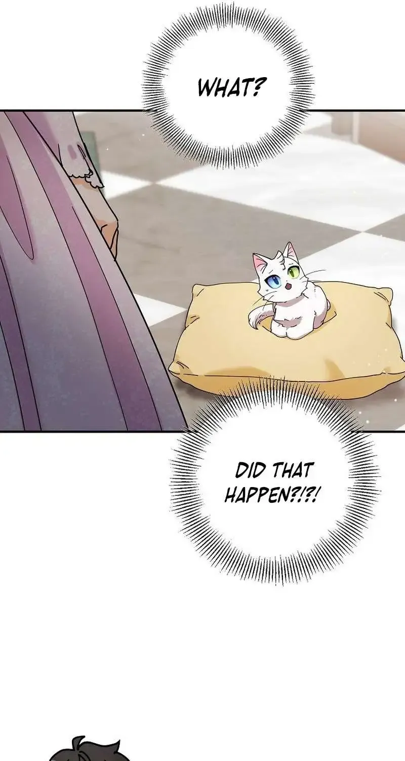 I Became The Emperor’s Cat Chapter 5 page 18 - MangaKakalot