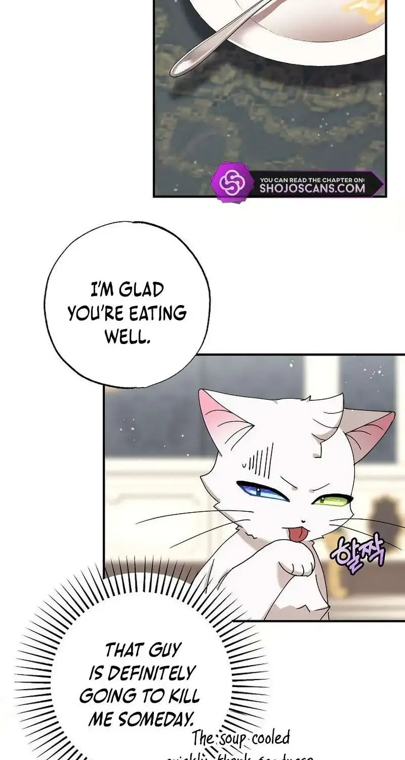 I Became The Emperor’s Cat Chapter 5 page 52 - MangaKakalot