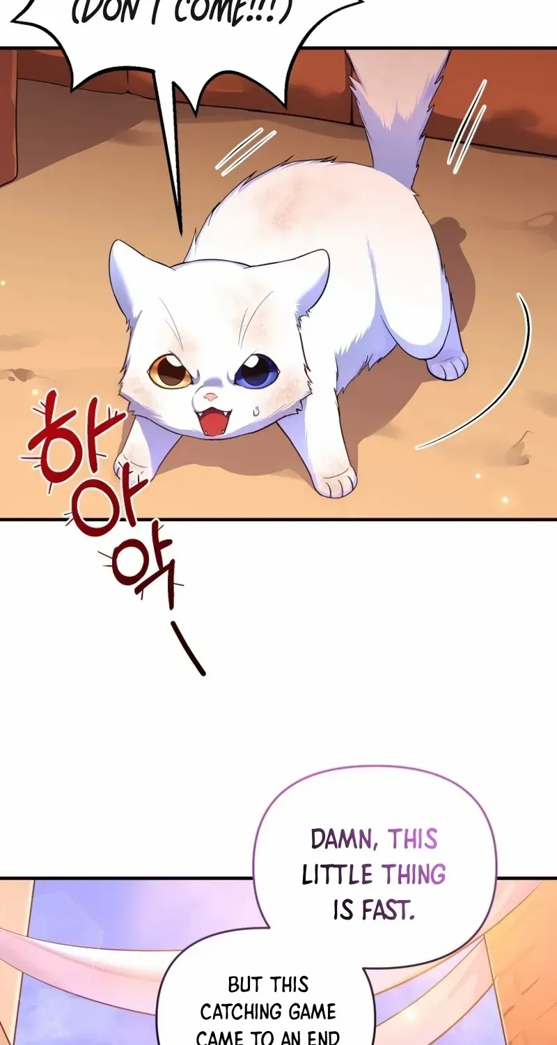 I Became The Sultan’S Precious Cat Chapter 1 page 95 - MangaNato