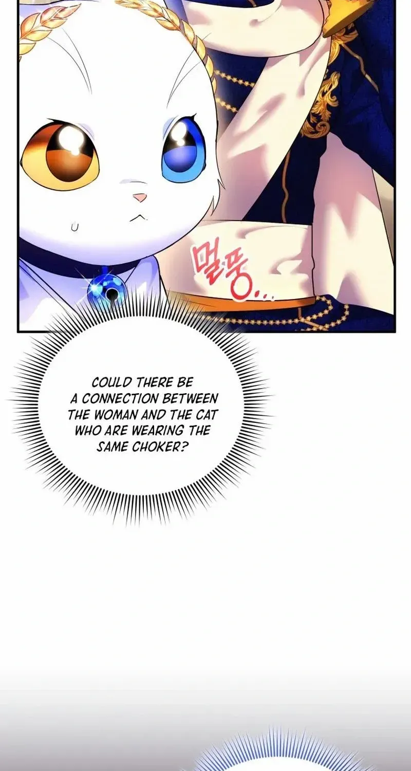 I Became The Sultan’S Precious Cat Chapter 14 page 55 - MangaNato