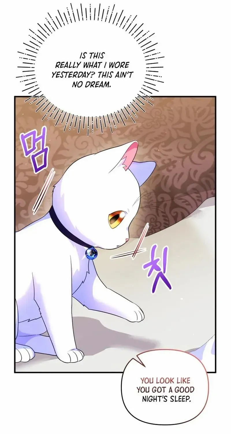 I Became The Sultan’S Precious Cat Chapter 14 page 8 - MangaNato