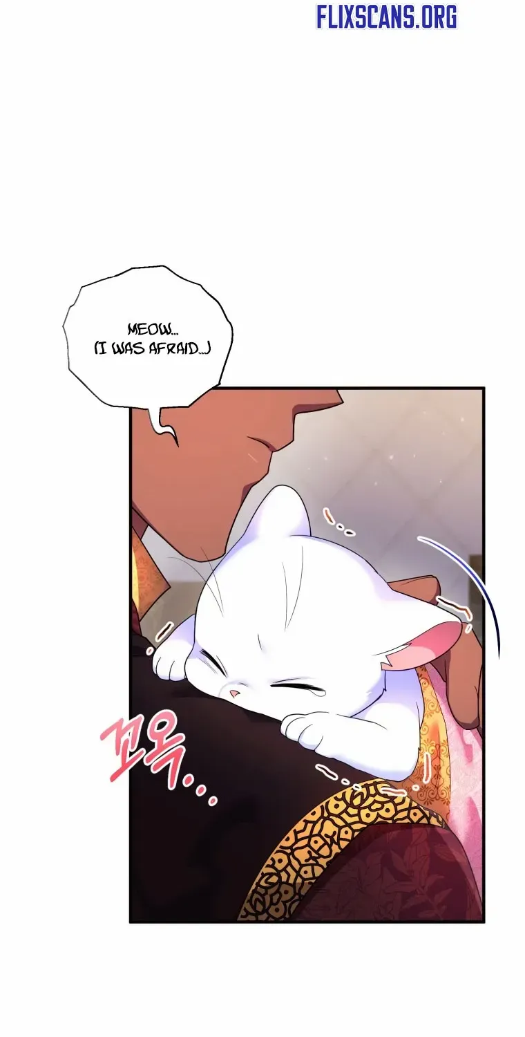 I Became The Sultan’S Precious Cat Chapter 17 page 49 - MangaNato