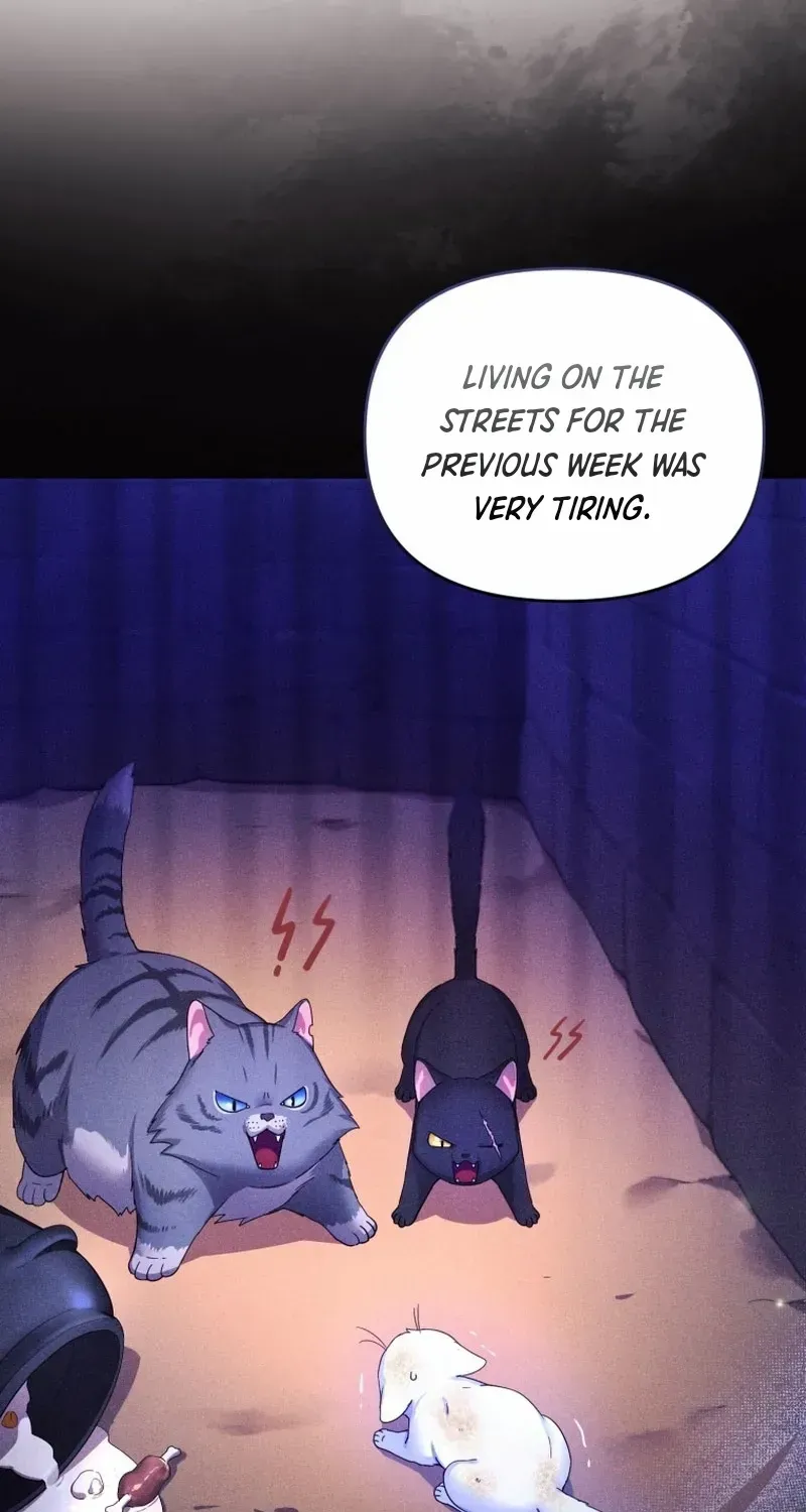 I Became The Sultan’S Precious Cat Chapter 2 page 32 - MangaNato