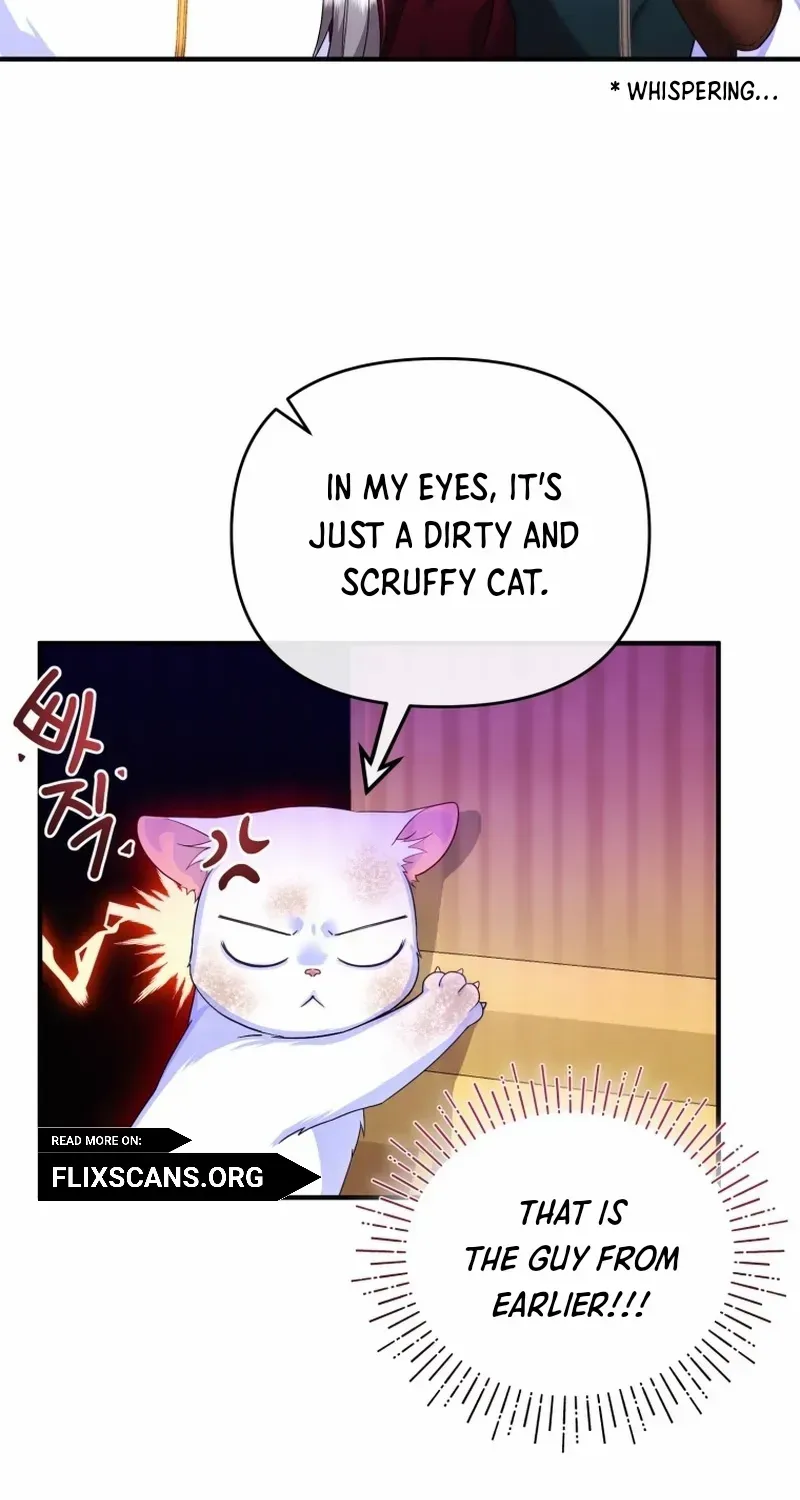 I Became The Sultan’S Precious Cat Chapter 3 page 6 - MangaNato