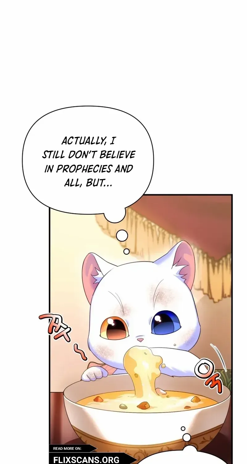 I Became The Sultan’S Precious Cat Chapter 3 page 63 - MangaNato