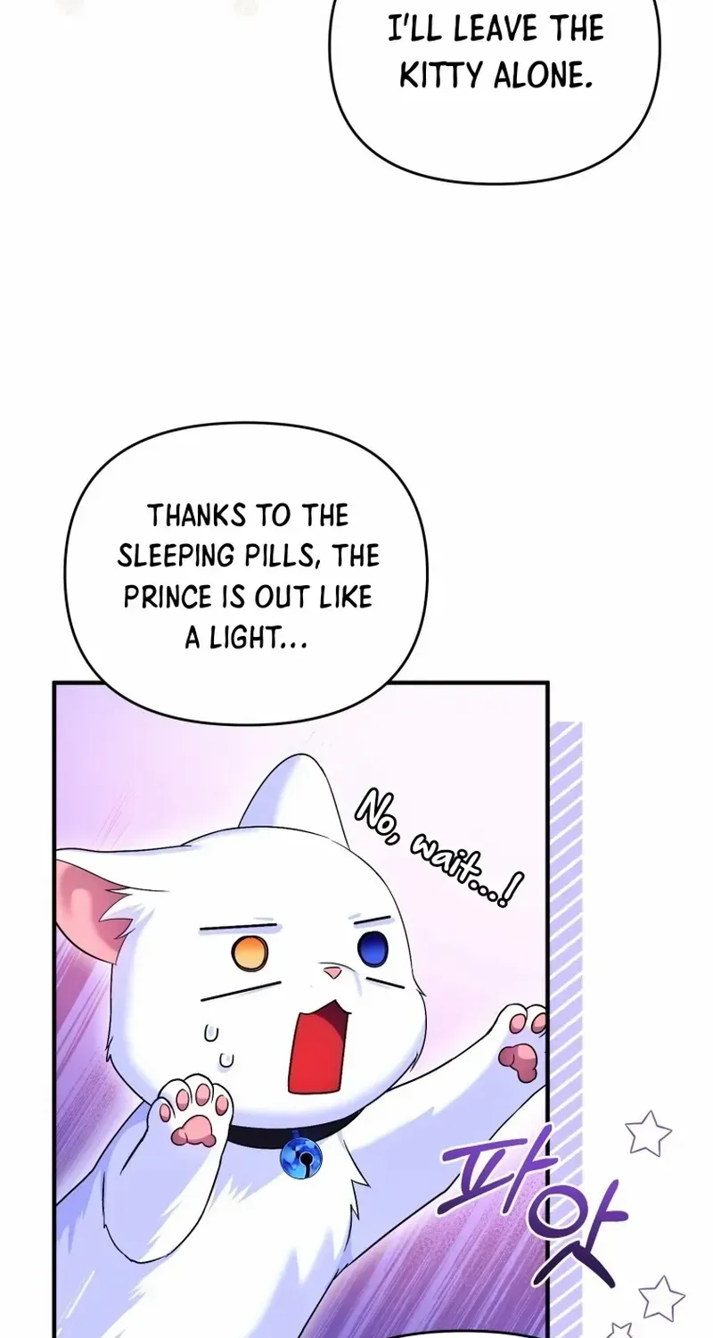 I Became The Sultan’S Precious Cat Chapter 4 page 33 - MangaNato