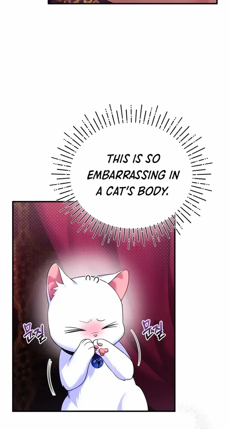 I Became The Sultan’S Precious Cat Chapter 4 page 57 - MangaNato