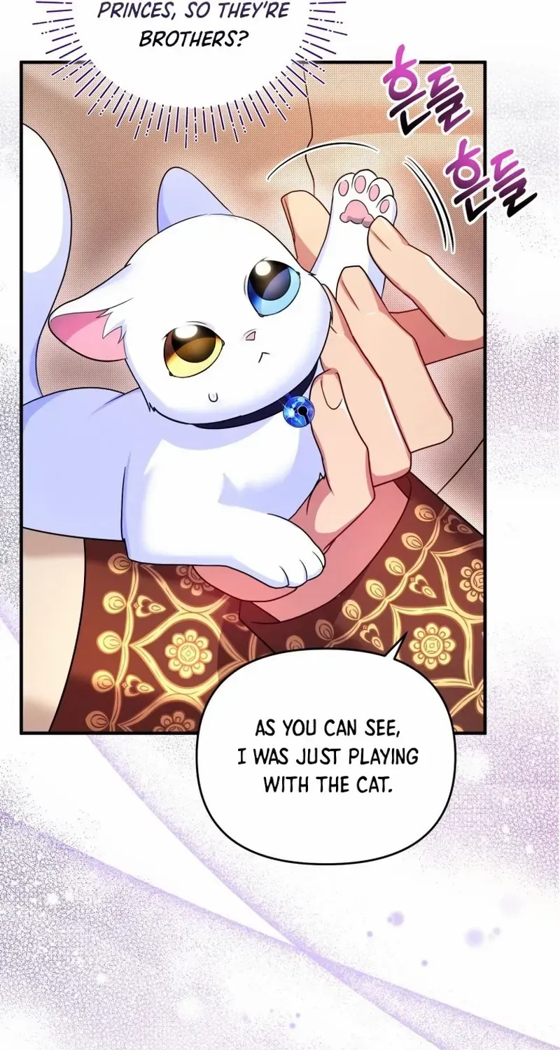 I Became The Sultan’S Precious Cat Chapter 9 page 47 - MangaNato