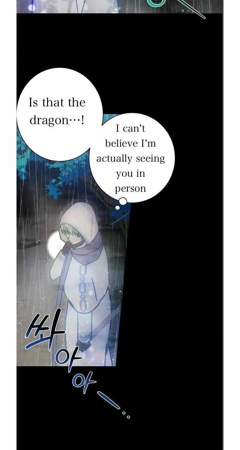 I Have The Dragon’S Heart Chapter 8 page 13 - MangaKakalot