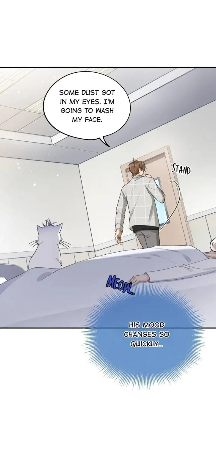 I Have To Work Hard As A Cat Today Chapter 15 page 48 - MangaNato