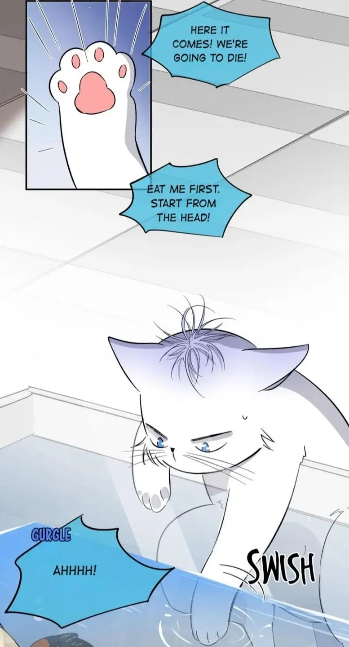 I Have To Work Hard As A Cat Today - Page 23