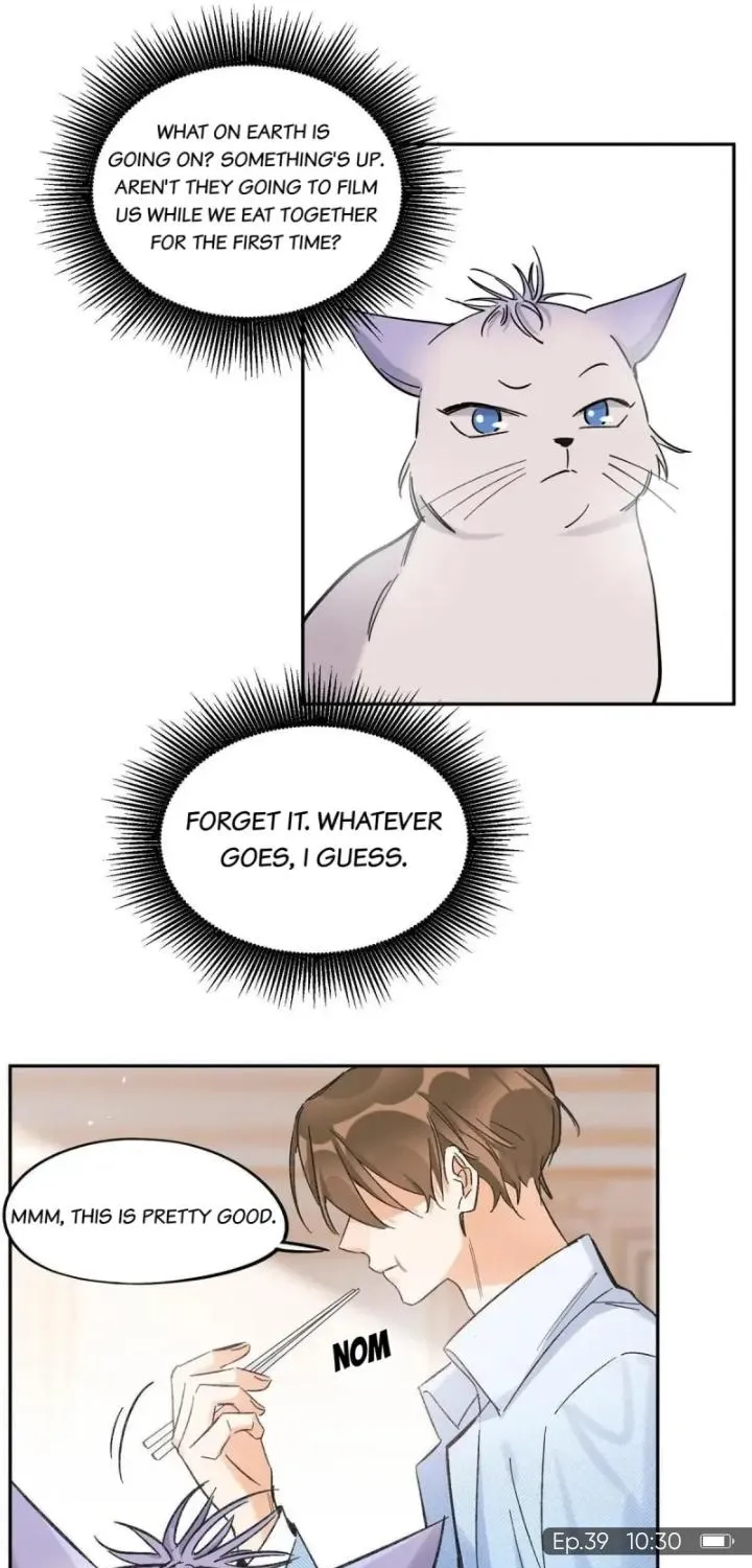 I Have To Work Hard As A Cat Today - Page 20