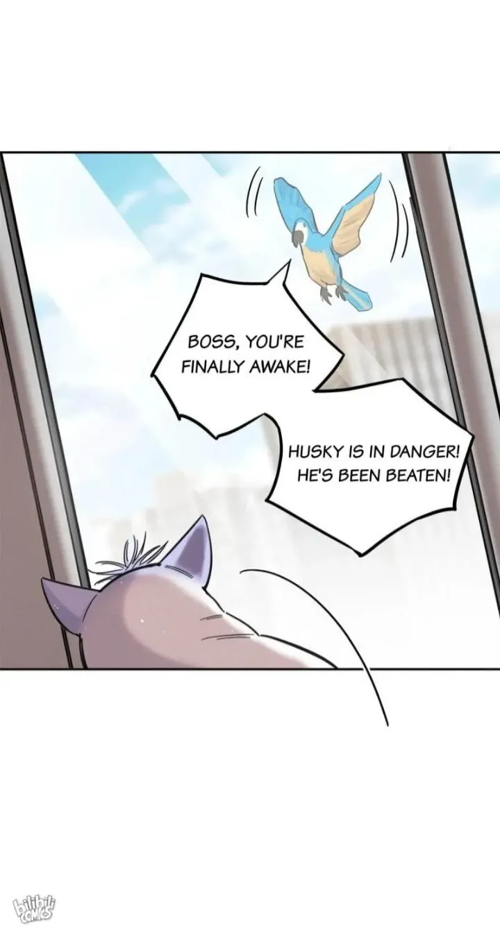 I Have To Work Hard As A Cat Today - Page 45