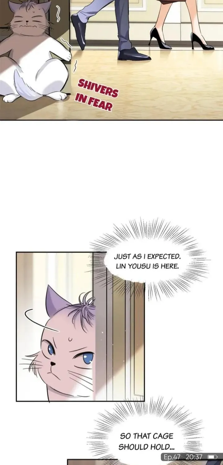 I Have To Work Hard As A Cat Today - Page 11