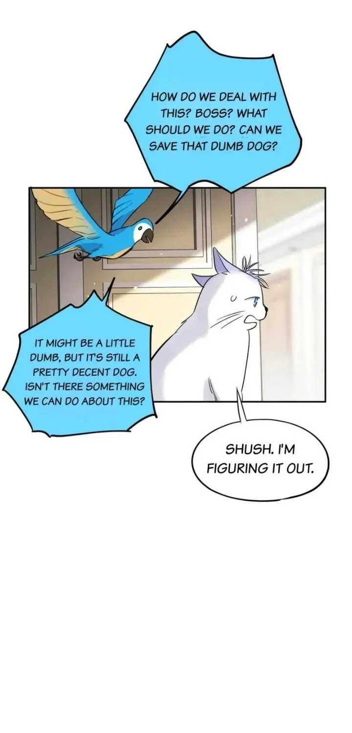 I Have To Work Hard As A Cat Today - Page 14