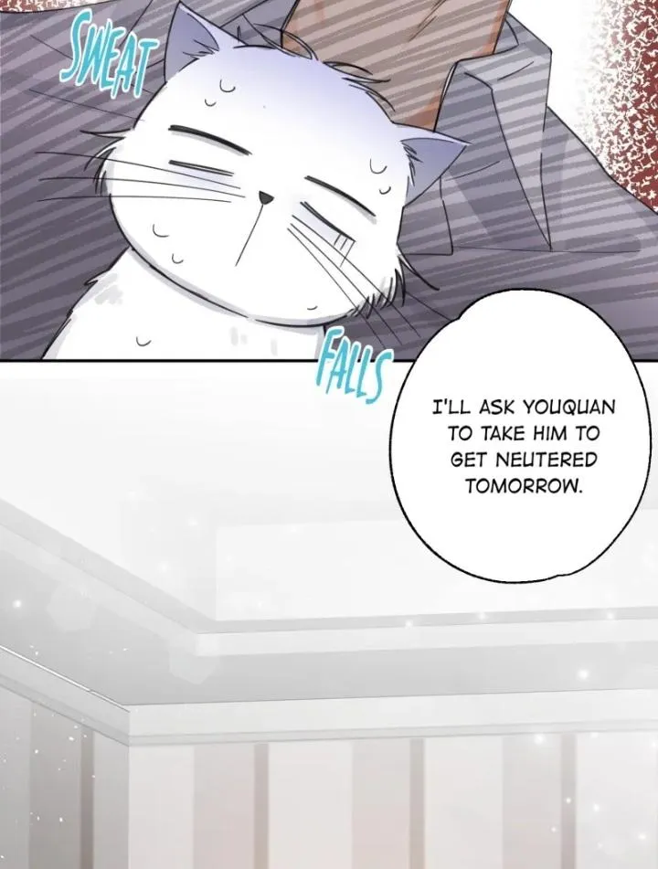 I Have To Work Hard As A Cat Today - Page 42