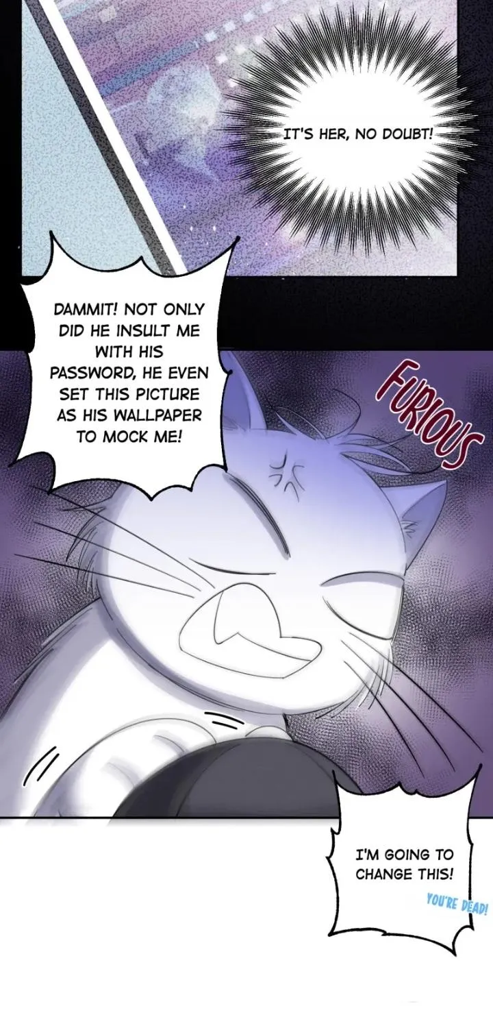 I Have To Work Hard As A Cat Today Chapter 6 page 27 - MangaNato