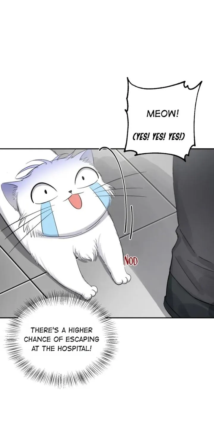 I Have To Work Hard As A Cat Today - Page 19