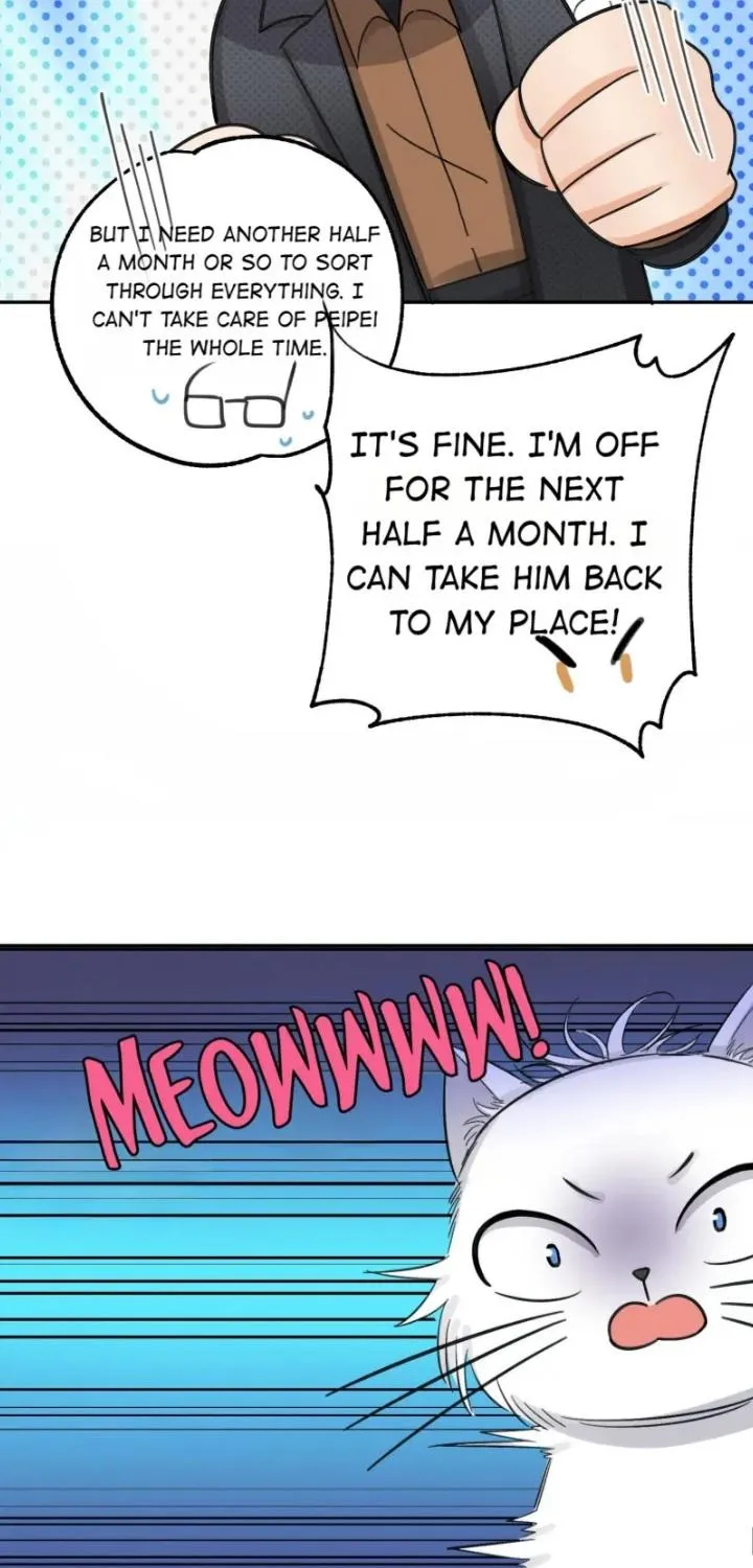 I Have To Work Hard As A Cat Today - Page 37