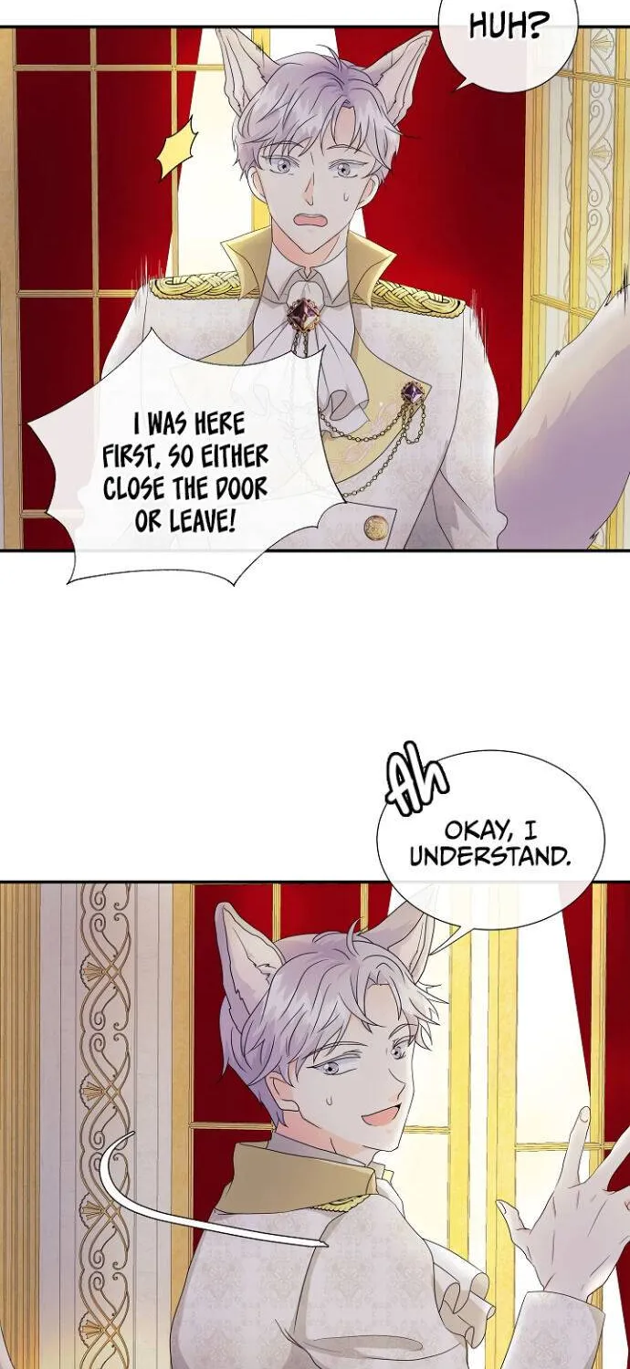 I’m a Wolf, but I Won’t Harm You Chapter 2 page 4 - MangaKakalot