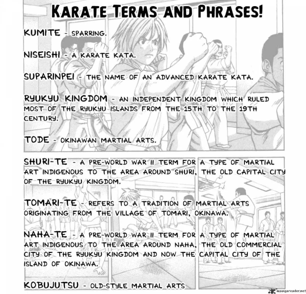 Karate Shoukoushi Kohinata Minoru - Page 2