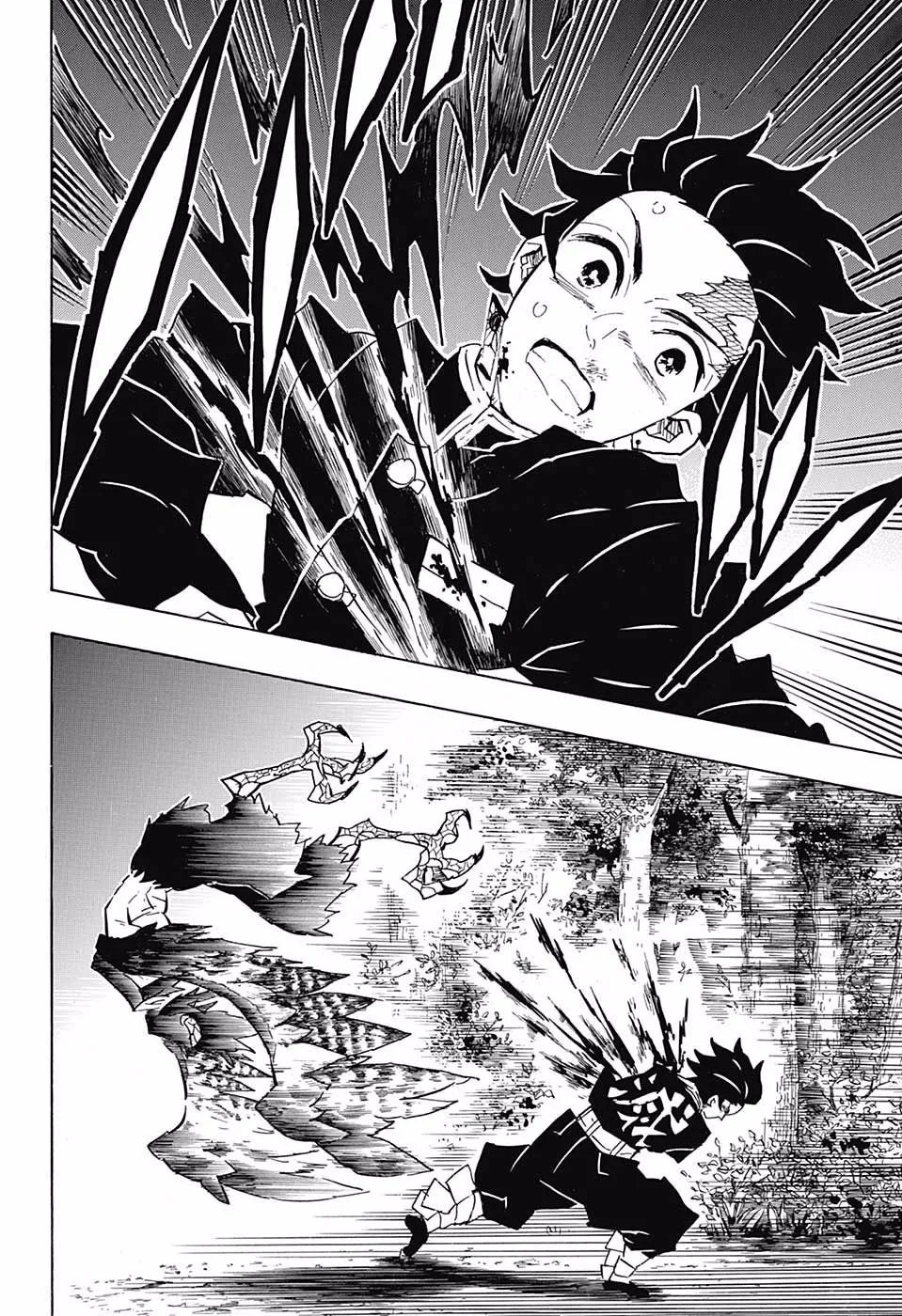 Kimetsu No Yaiba - Page 13