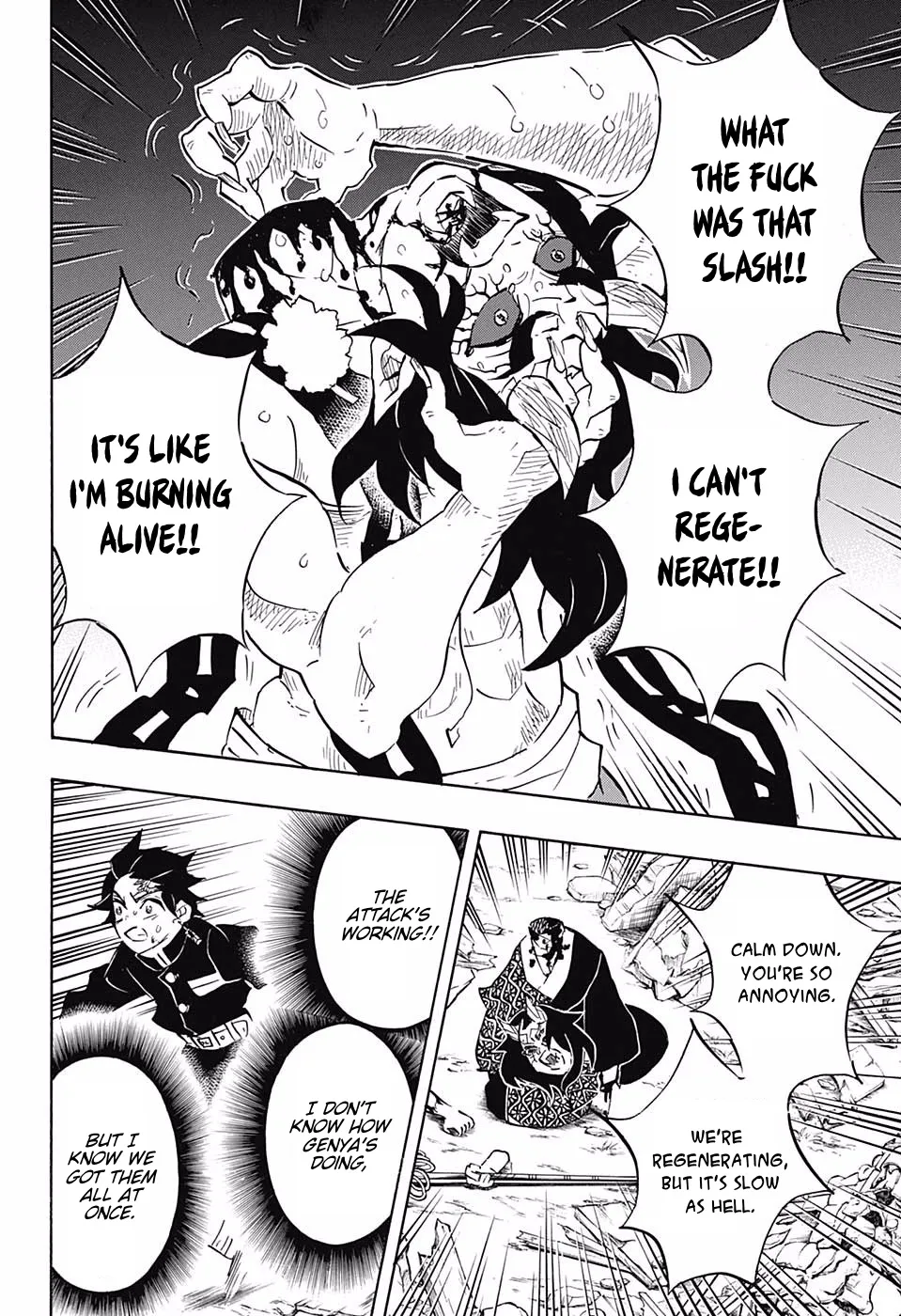 Kimetsu No Yaiba - Page 12