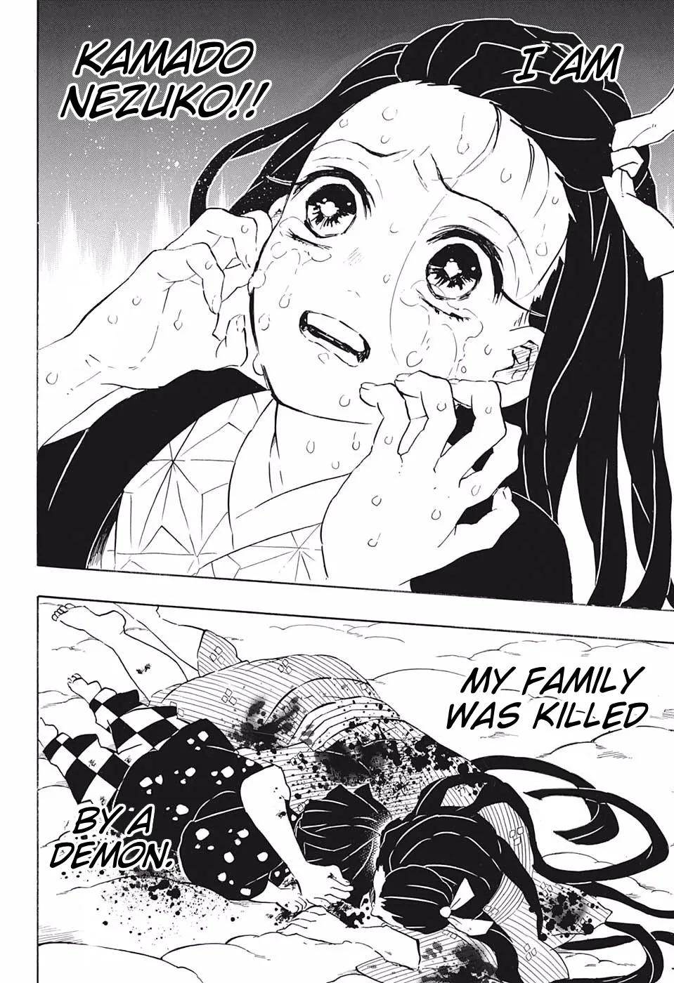 Kimetsu No Yaiba - Page 11