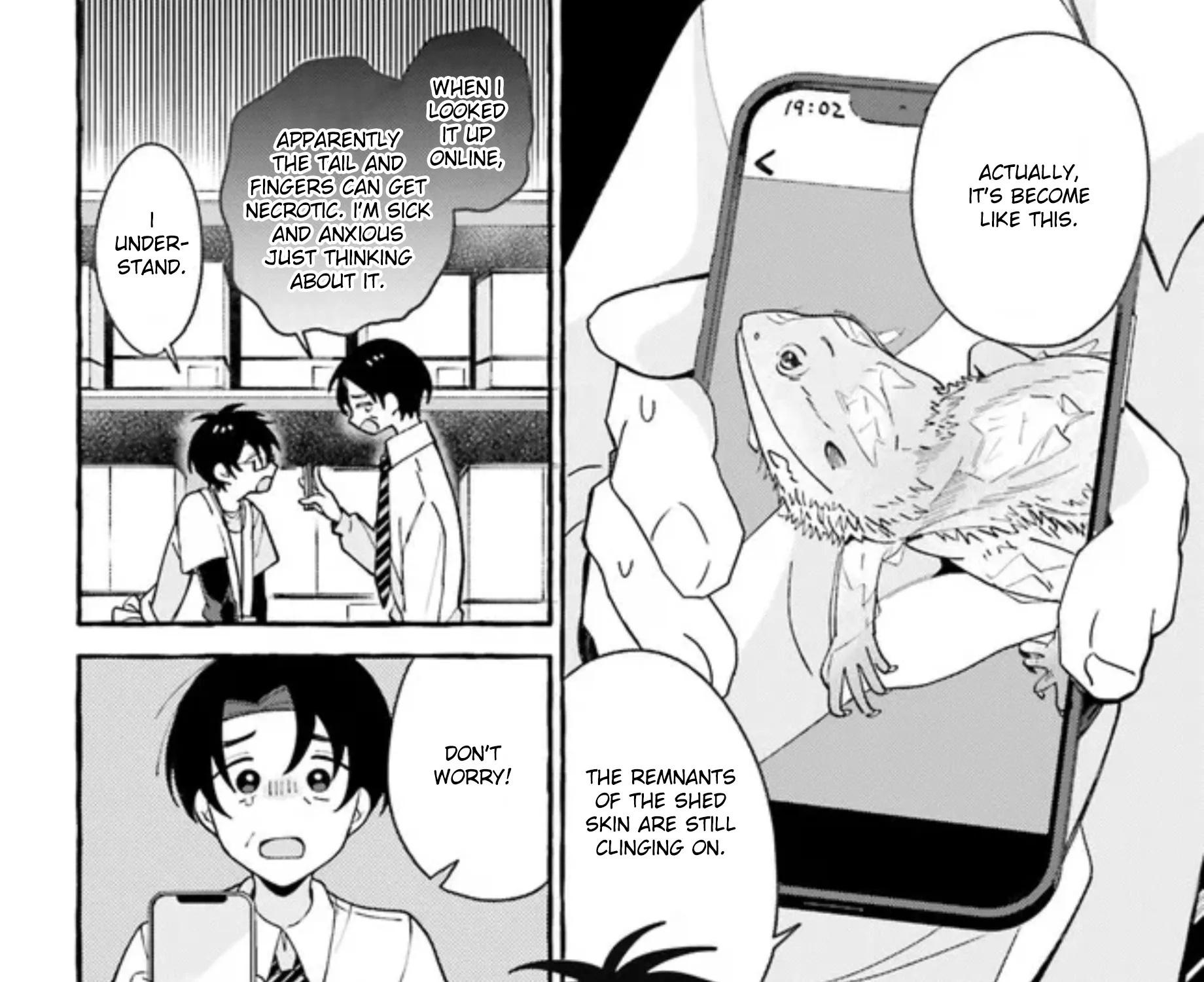 Kimi wa Kawaii Reptile - Page 2