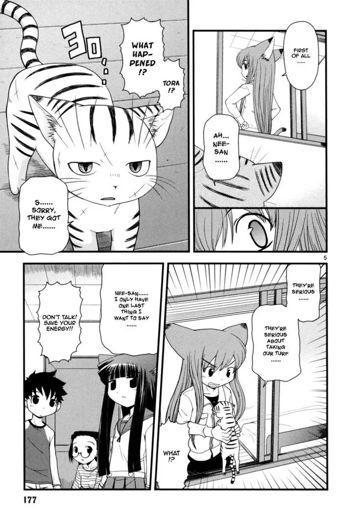 Koi Neko Chapter 51 page 5 - MangaNato