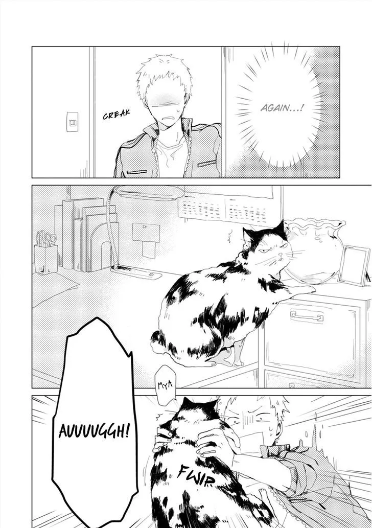 Koi ni mo Naranai Chapter 2 page 19 - MangaKakalot