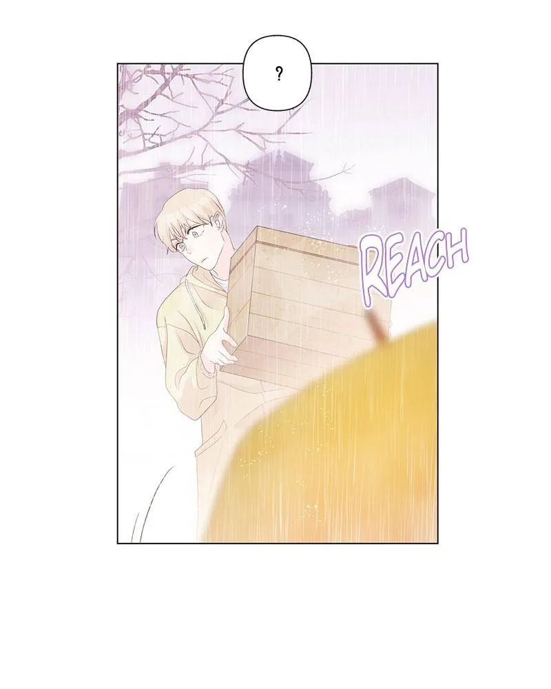 Love Falls Like Rain Chapter 4 page 33 - MangaKakalot