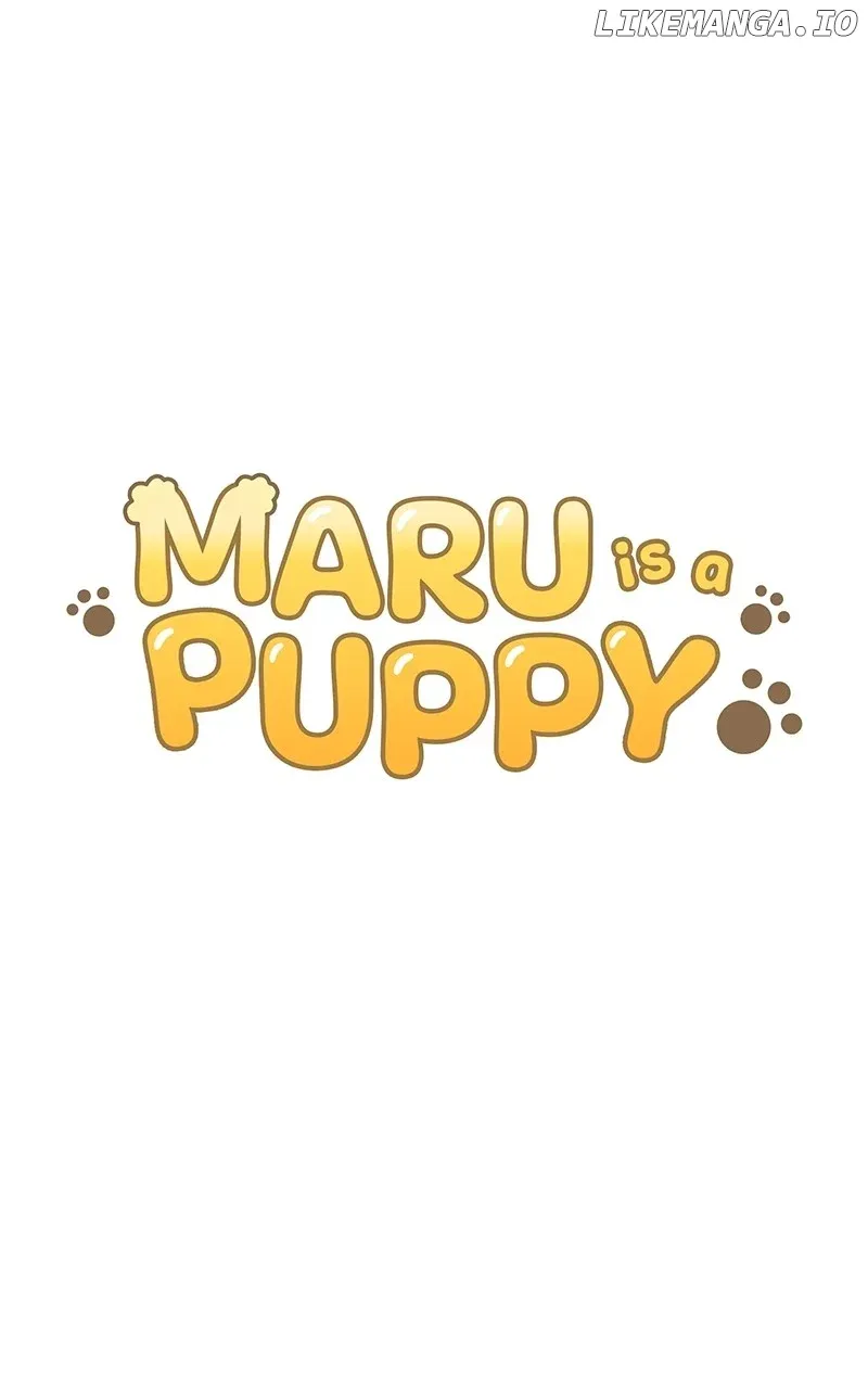 Maru Is A Puppy Chapter 33 page 12 - MangaNato