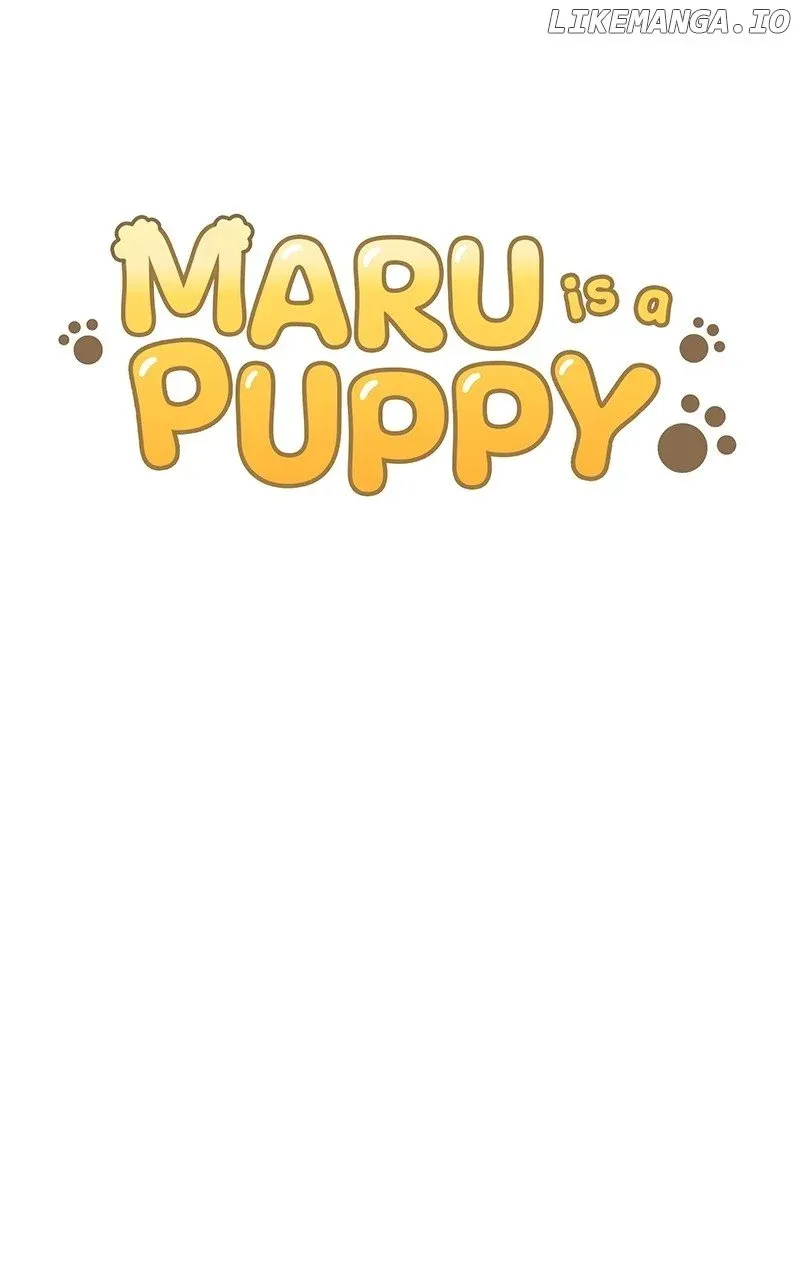 Maru Is A Puppy Chapter 62 page 17 - MangaNato