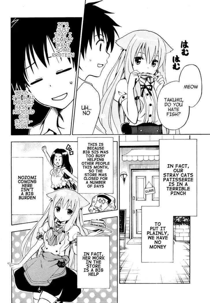 Mayoi Neko Overrun! Chapter 3 page 8 - MangaKakalot