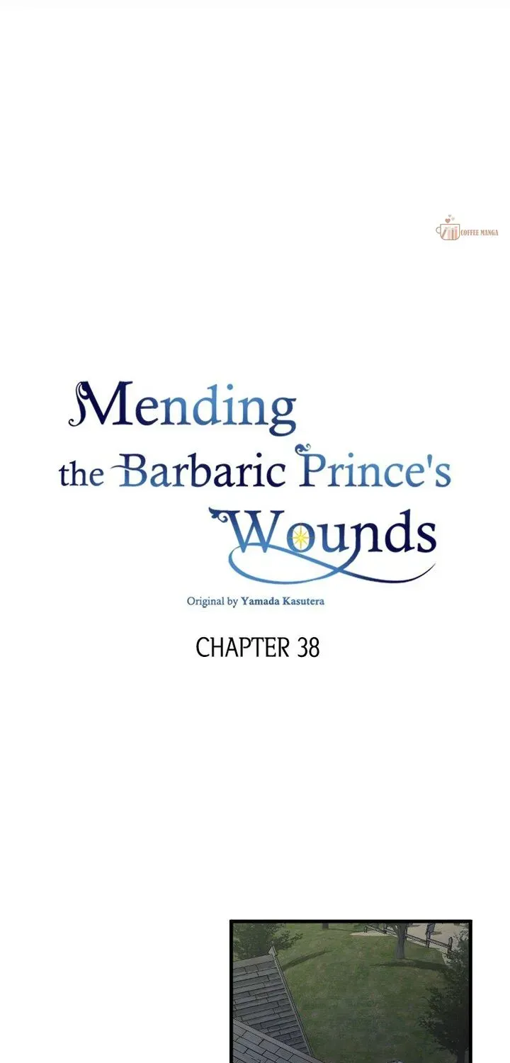 Mending The Barbaric Prince