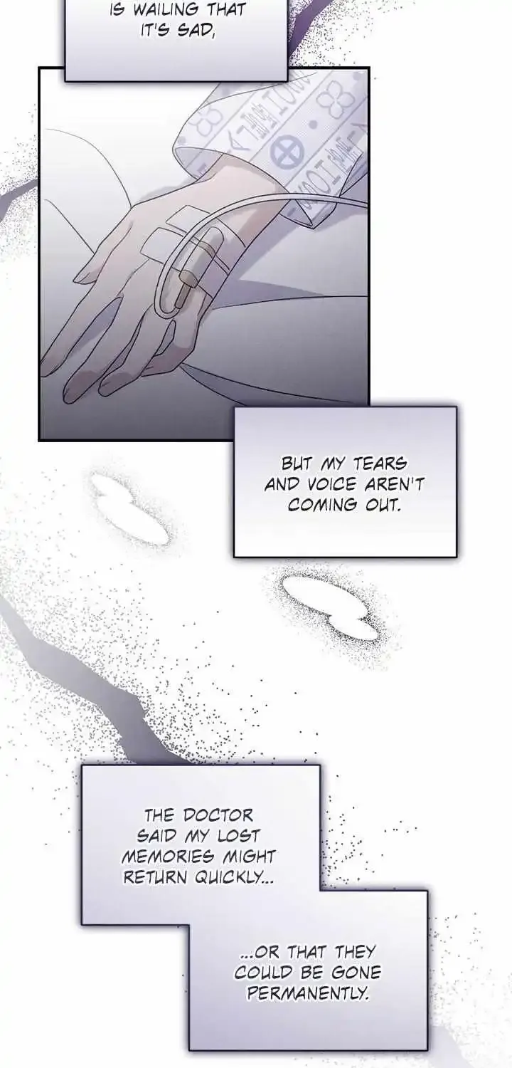 Miracle Illusion Chapter 1 page 6 - MangaKakalot