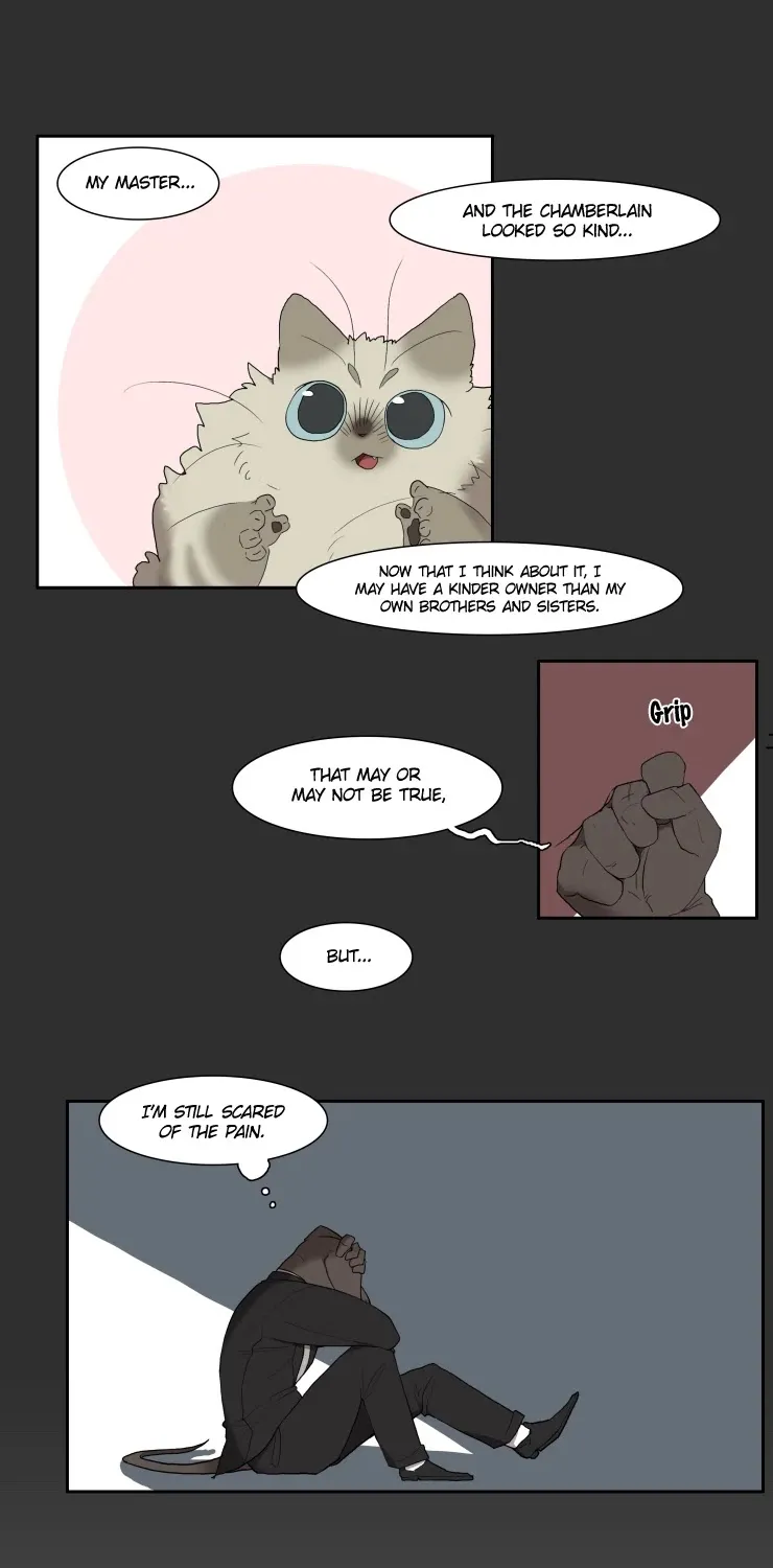 Miss Kitty And Her Bodyguards Chapter 102 page 18 - MangaKakalot