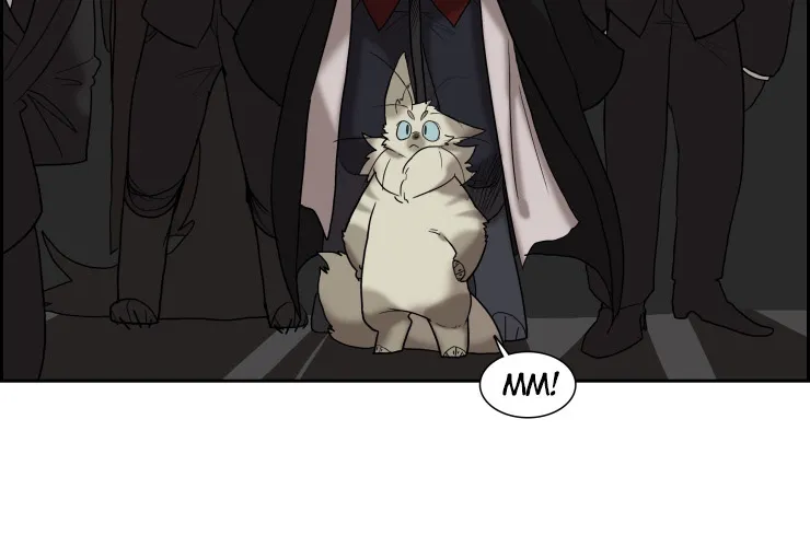 Miss Kitty And Her Bodyguards Chapter 131 page 6 - MangaKakalot